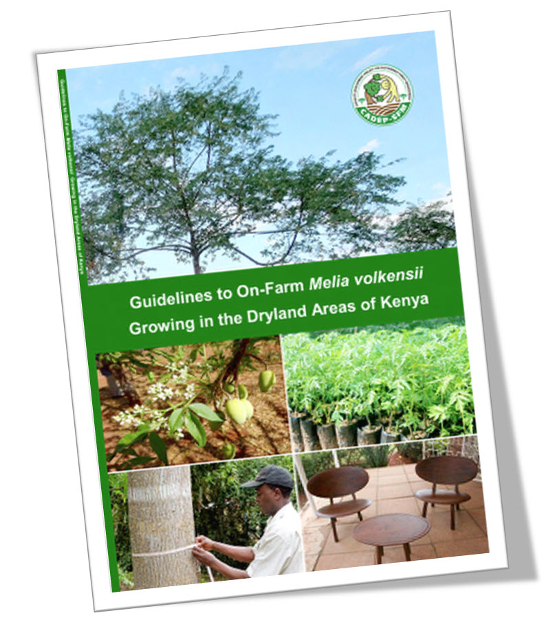 Guidelines to Growing Melia volkensii in the Dryland Areas of Kenya